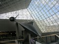 DSCN9767