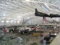 DSCN9776