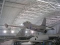 DSCN9779