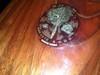 DSCN0110