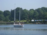 IMG 4356