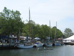 IMG 4382