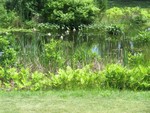 IMG 4577