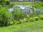 IMG 4578